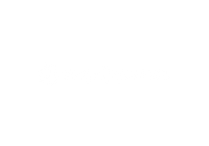 shopify_partners